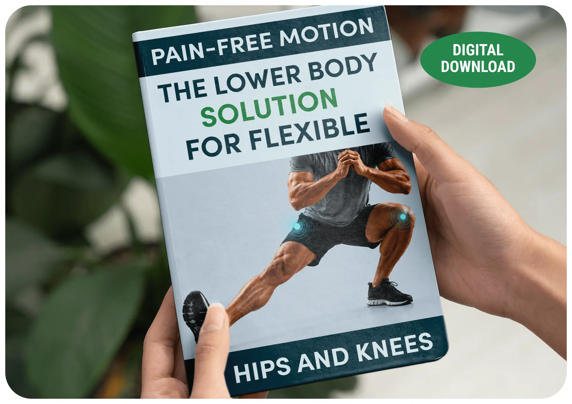 Bonus 3: Pain-Free Motion digital guide